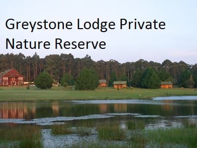 Greystone Lodge