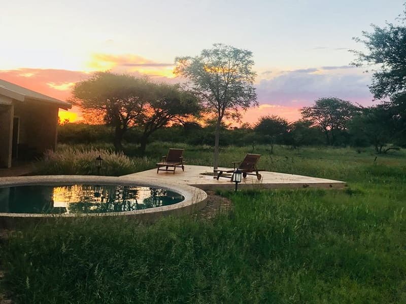 Buffalo Thorn Safari Lodge