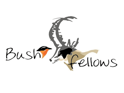 Bushfellows Private Game Lodge & Conference Centre