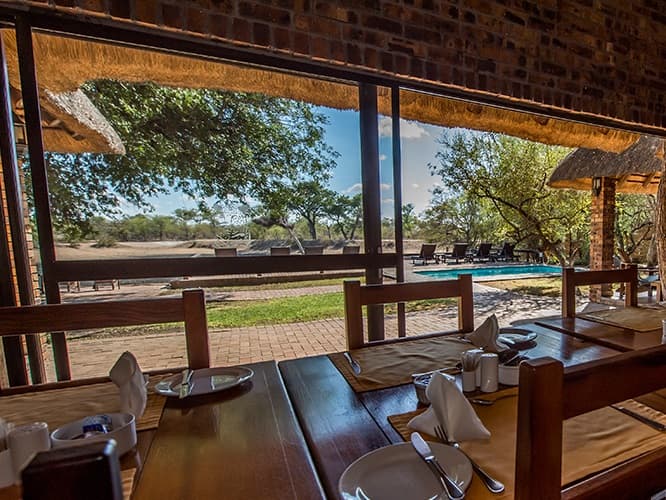 Gomo Gomo Game Lodge