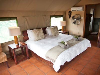 Sausage Tree Safari Camp